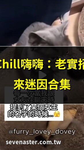 老實招來
